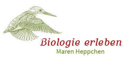Biologie bewegt | Maren Heppchen